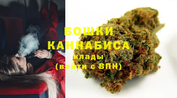 хмурый Бронницы