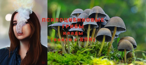 кокаин премиум Богородицк