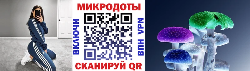где можно купить наркотик  Кочубеевское  Галлюциногенные грибы Psilocybe 